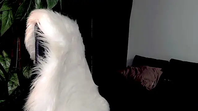 QueenOfUrKink webcam
