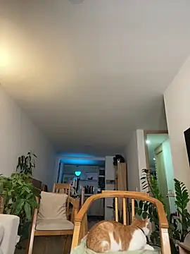 6nalanie webcam