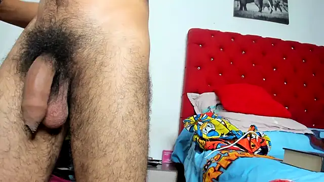 Chriss_evanss_ webcam