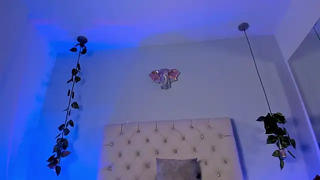 Abby_Snow_ webcam