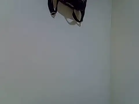 cudlecanvas webcam