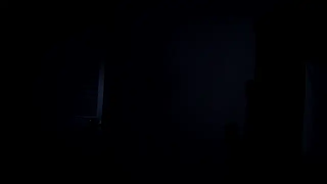 VincentSavage webcam