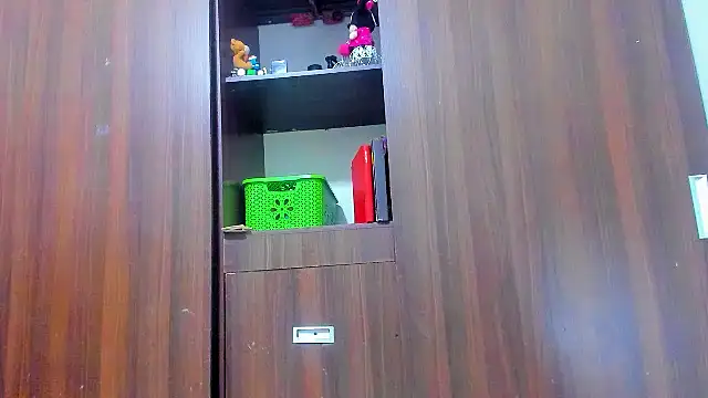 Dreamastercum_ webcam