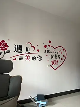 buusoom webcam