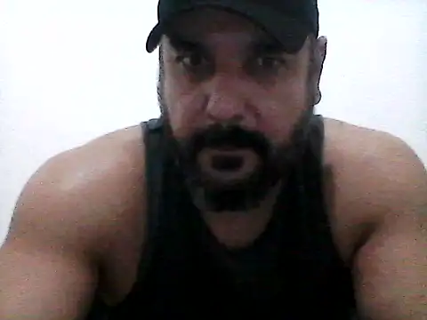 stallony webcam