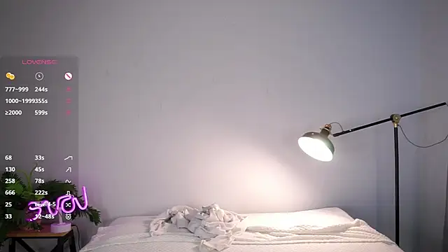 KateDolphin webcam