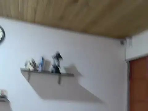 Zulema_R1 webcam