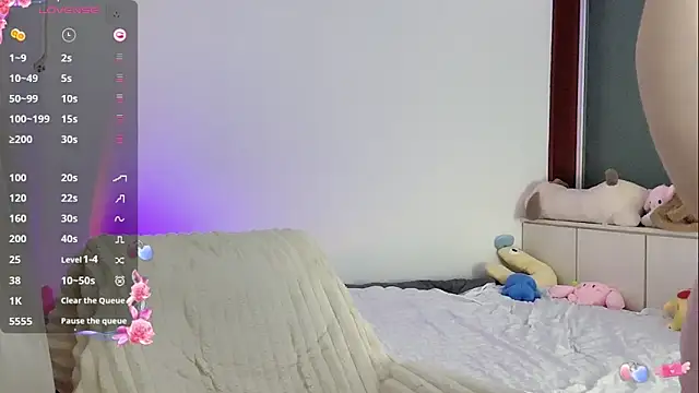 _flipped_ webcam