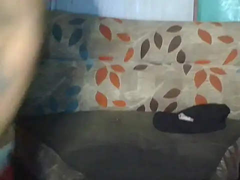 perloon webcam