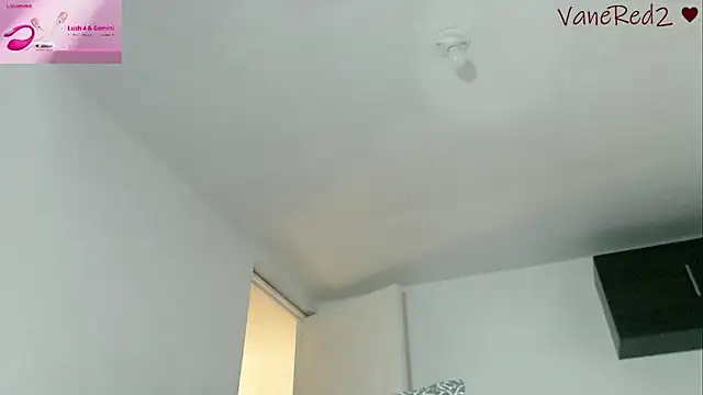 vanered2 webcam