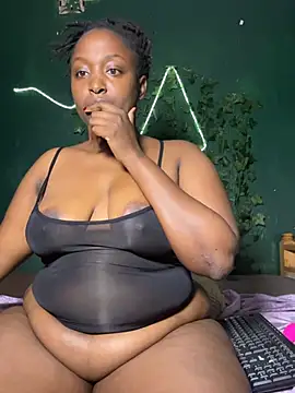 Sollybunny webcam