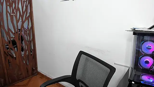 Rylle18_ webcam