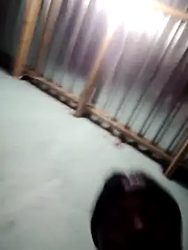 DigCrok webcam