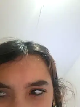 Ariaest webcam