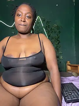 Sollybunny webcam