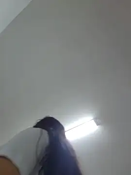 Sakura_0505 webcam