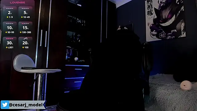 cesar_jonnes webcam