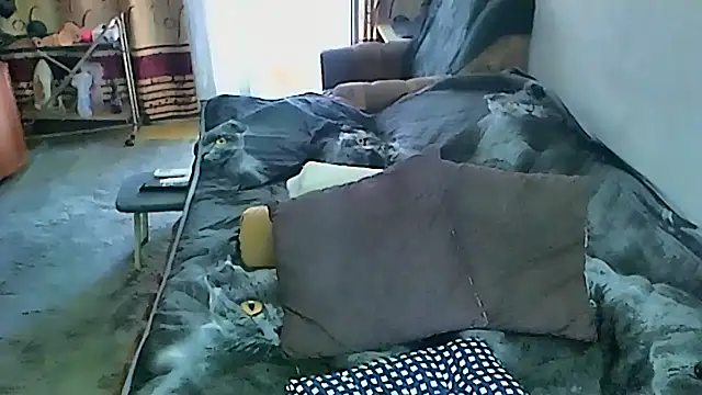 sex2 webcam