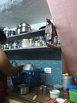 revathisree webcam