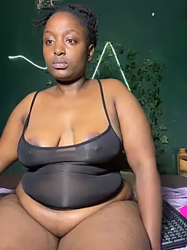 Sollybunny webcam