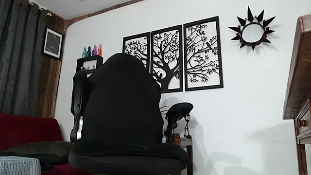 Ryan-theman webcam