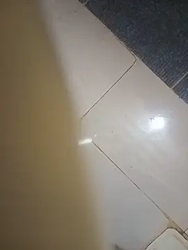 HeatableRevan webcam