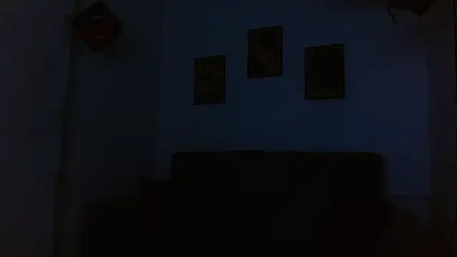 drake_laconte webcam