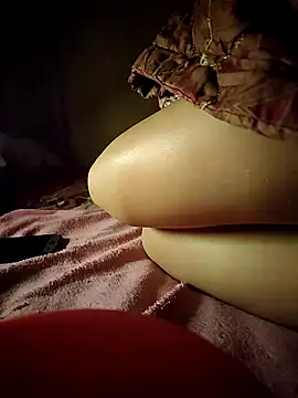 -Tara-a webcam