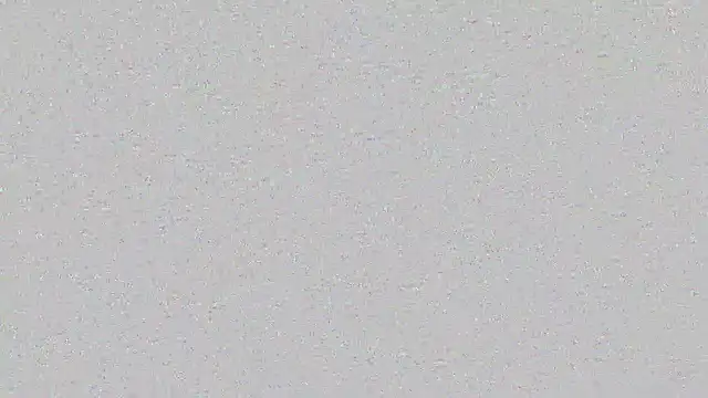 amy_live webcam