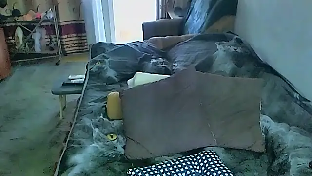 sex2 webcam