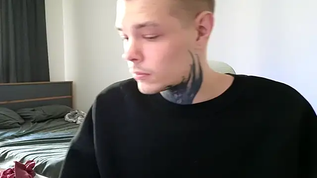 DENIS_HERE webcam