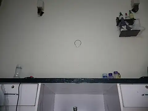 ElegantMiss webcam