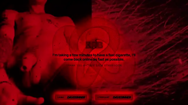 davesinner webcam
