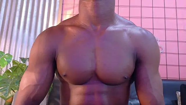 martin_killer webcam