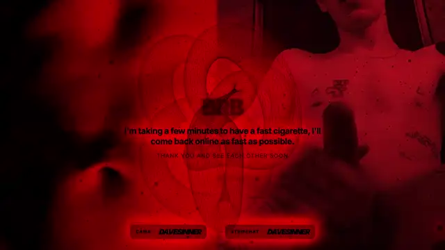davesinner webcam