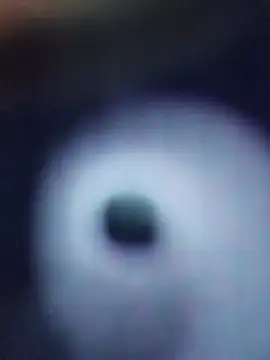 abcd100100 webcam