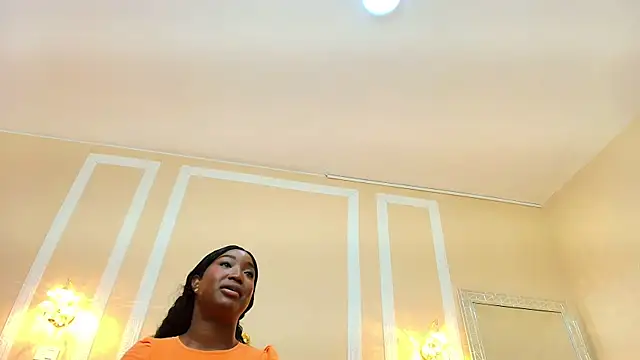 PaulineKosh webcam