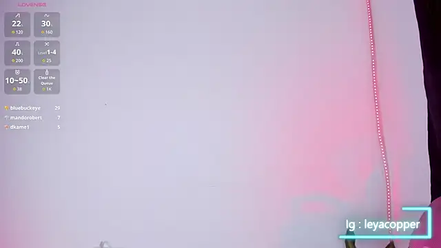 Leyacopper_ webcam