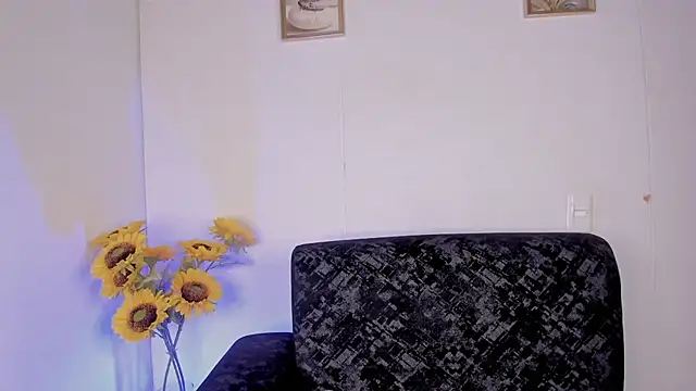KenPrince_ webcam