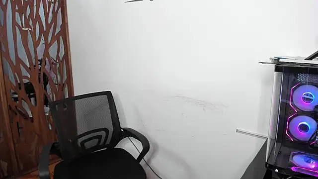 Rylle18_ webcam