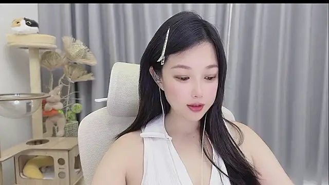 facai-feifei webcam