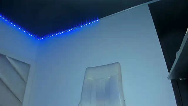Valentina_js webcam