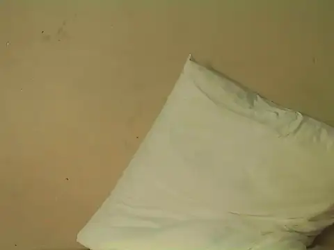 Tbangs_ webcam