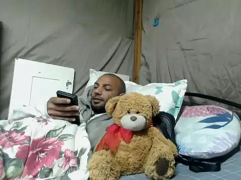 Camodick webcam