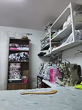 Sakura_0505 webcam