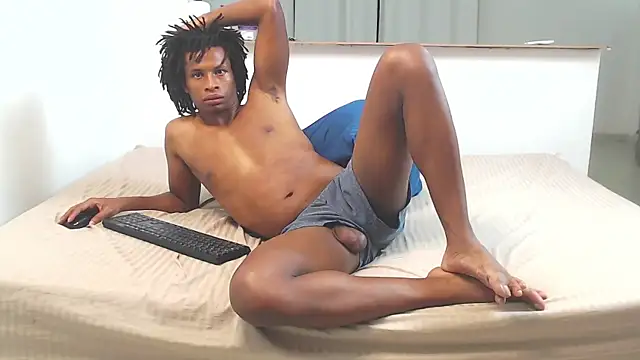 palax_bbc webcam