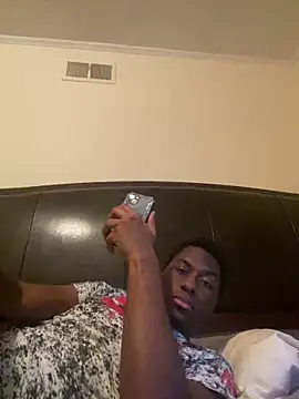 ThickDic28 webcam