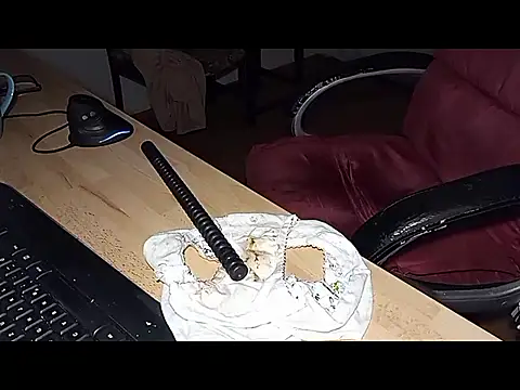 Rainfish webcam