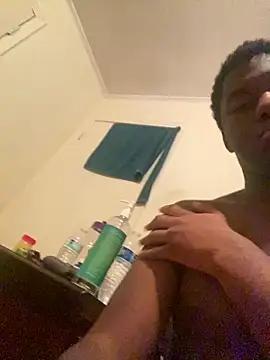 ThickDic28 webcam