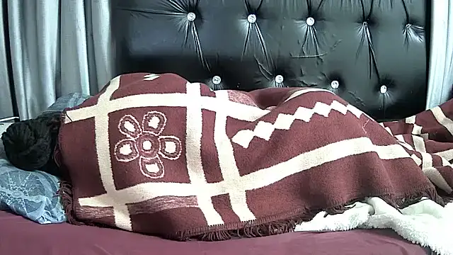BaselBlues webcam